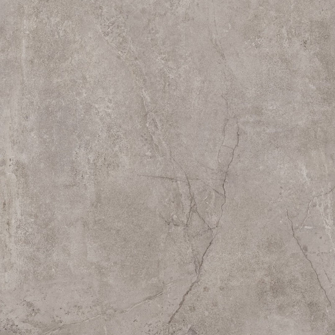 Tesoro Evolution 24" x 24" Rectified Matte Porcelain Tile
