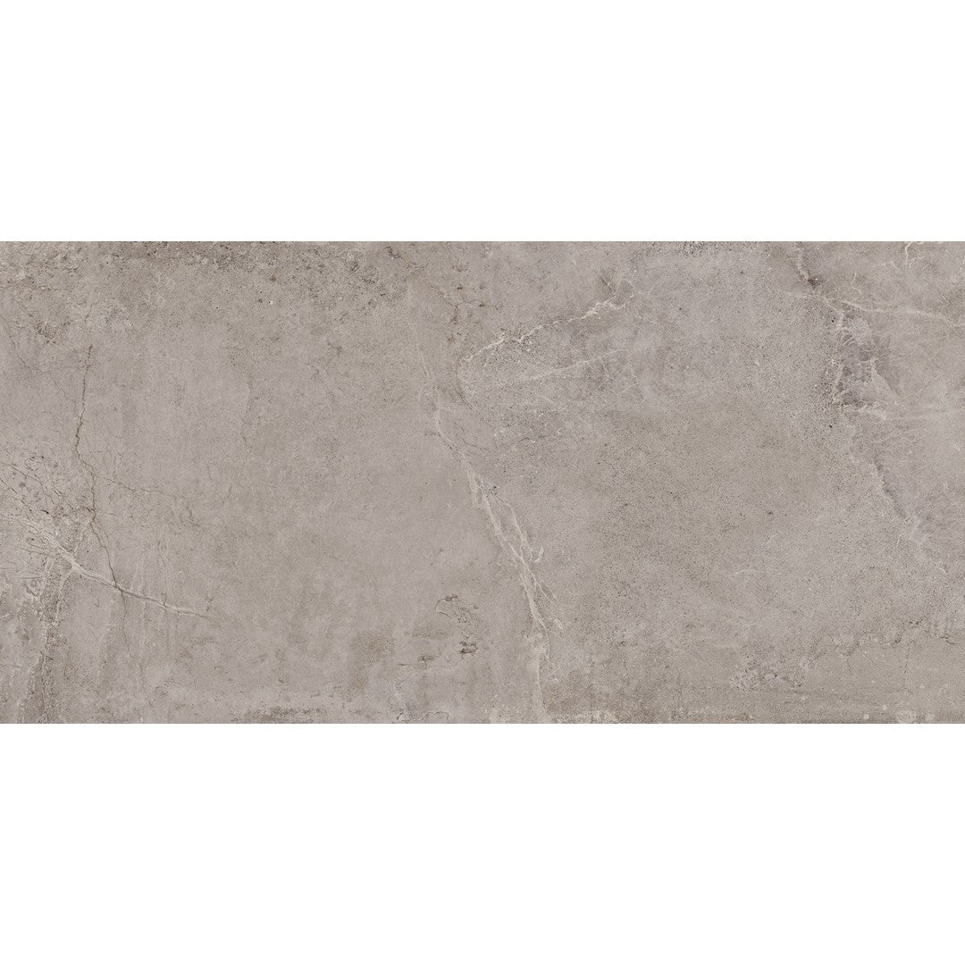 Tesoro Evolution 24" x 48" Rectified Matte Porcelain Tile