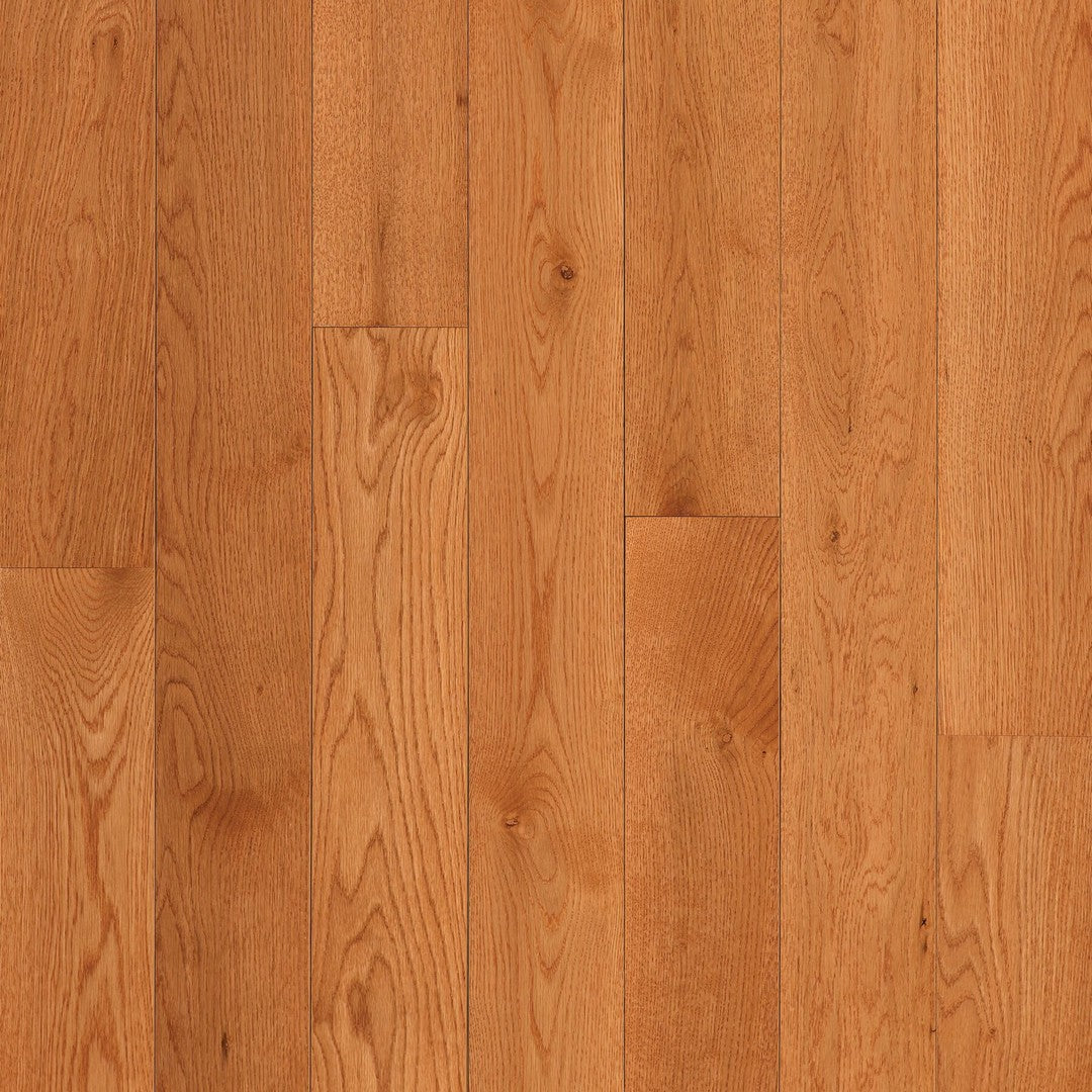 Bruce Dundee 3.25" Low Gloss Solid Hardwood Plank