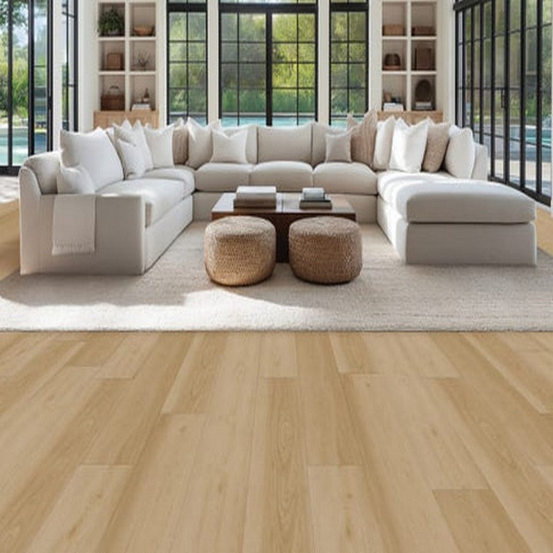 Chesapeake Fusion Design XL 9.3