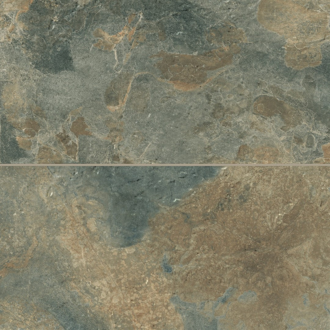abisinian.sion専用 Bedrosians Sinai 24