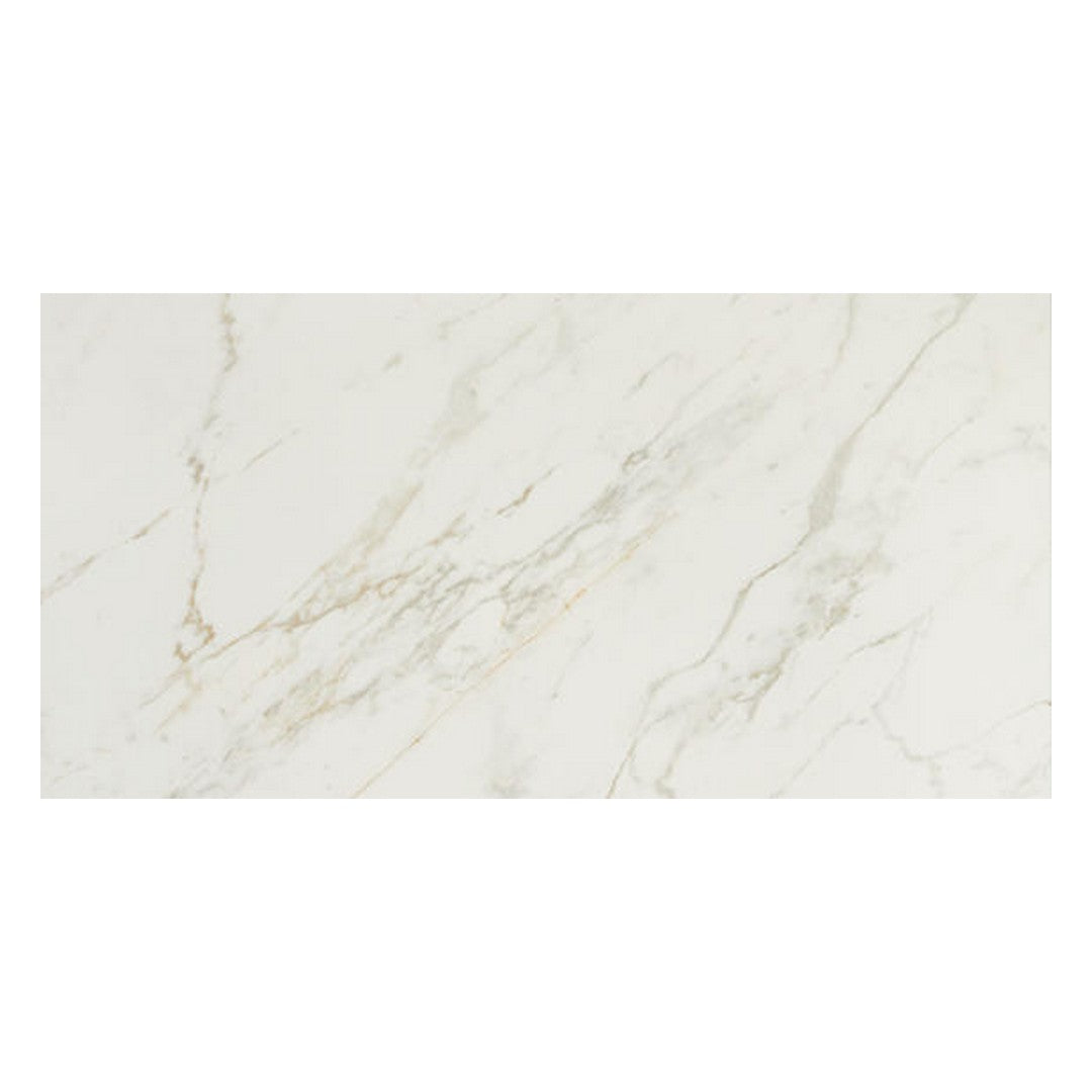 Daltile Panoramic Duet 12" X 24" Matte Porcelain Floor Tile