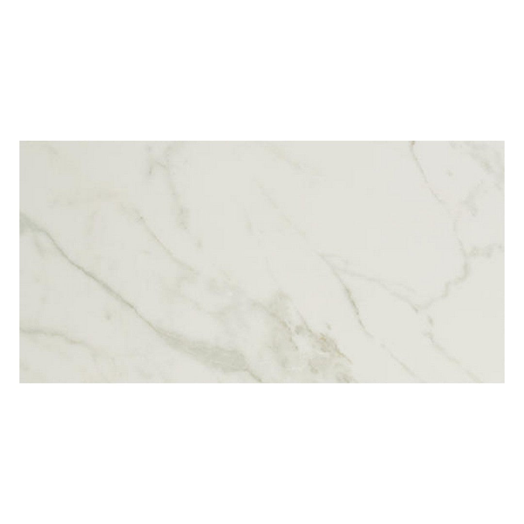 Daltile Panoramic Duet 12" X 24" Polished Porcelain Floor Tile