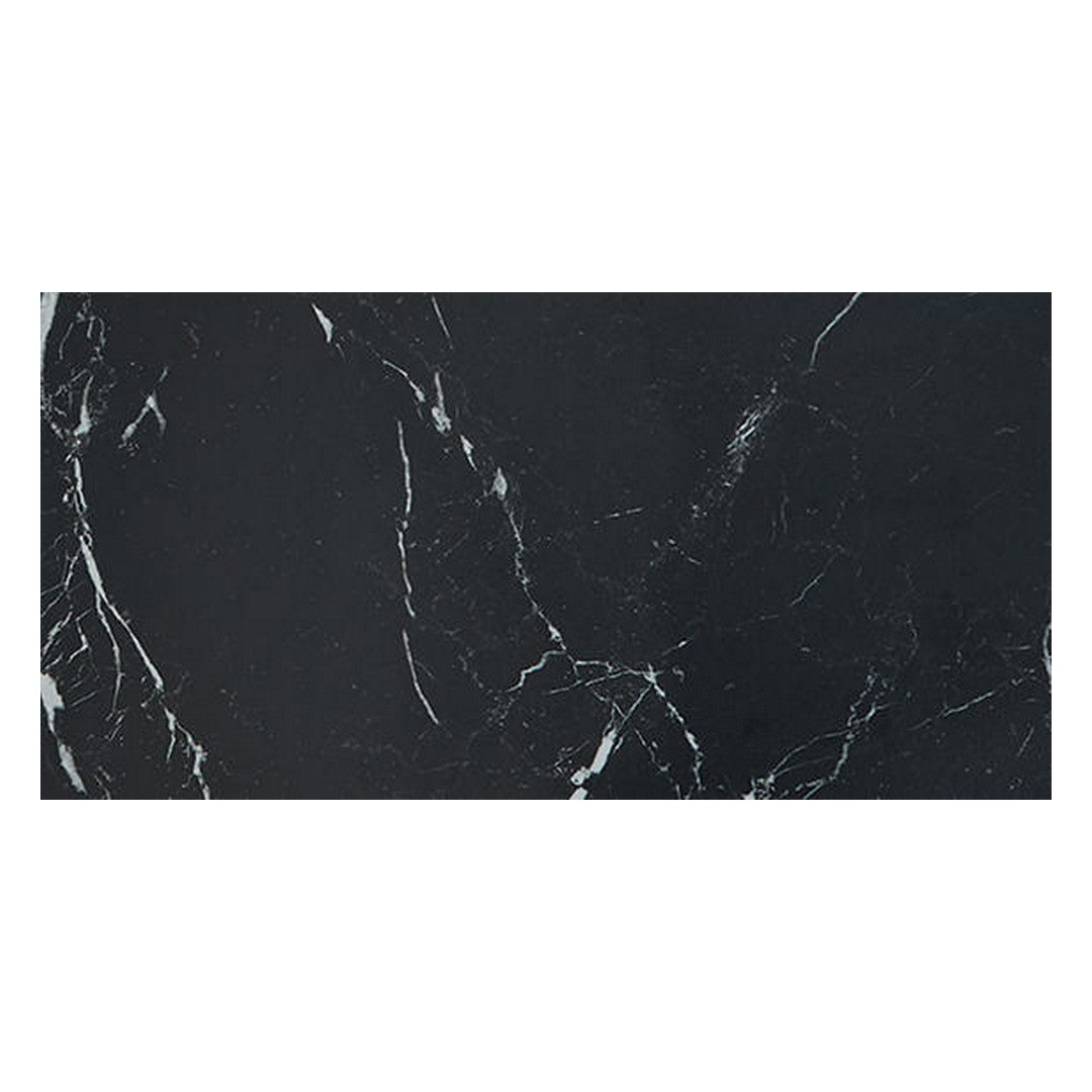 Daltile Panoramic Duet 12" X 24" Polished Porcelain Floor Tile