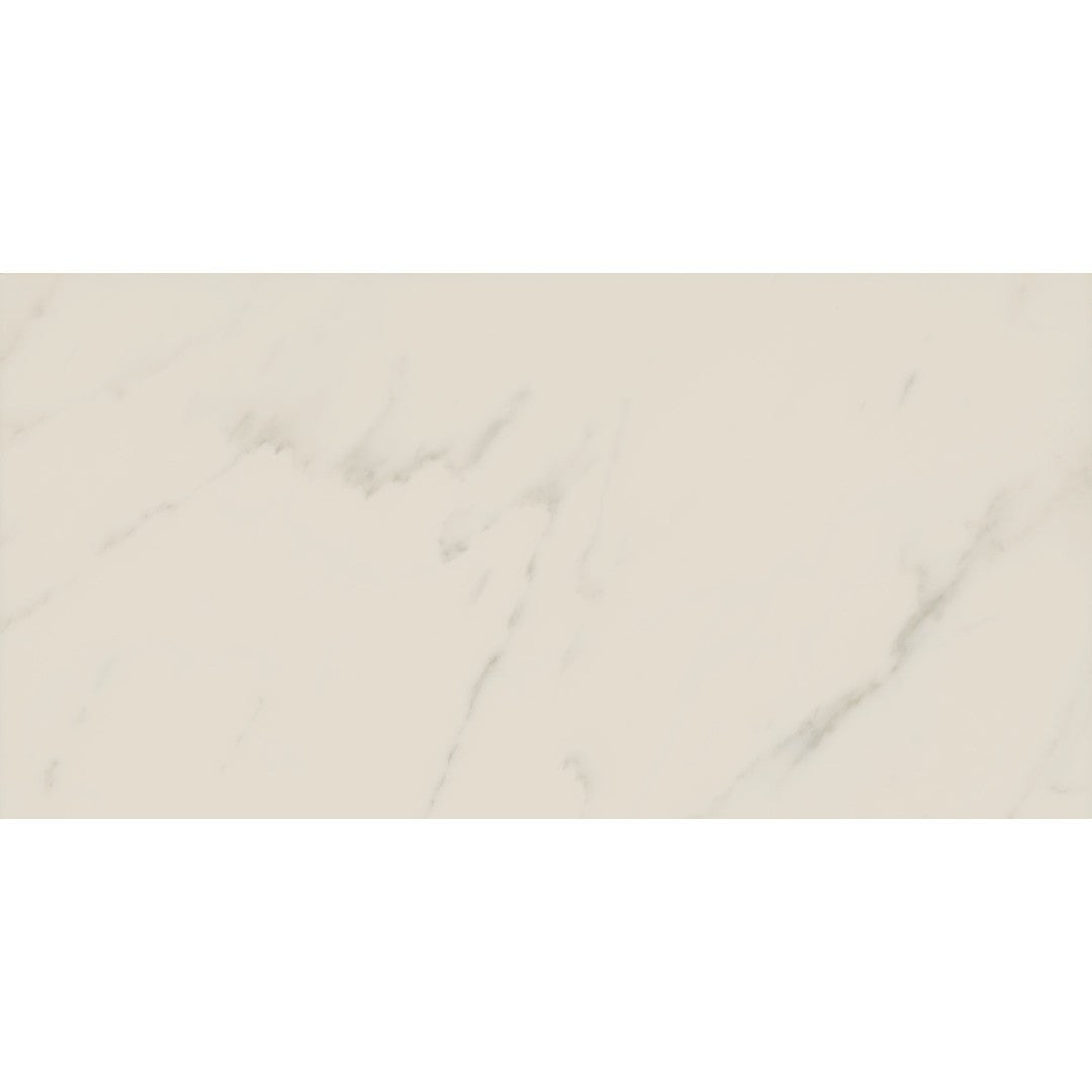 Crossville Access Point 12" x 24" Unpolished Porcelain Tile