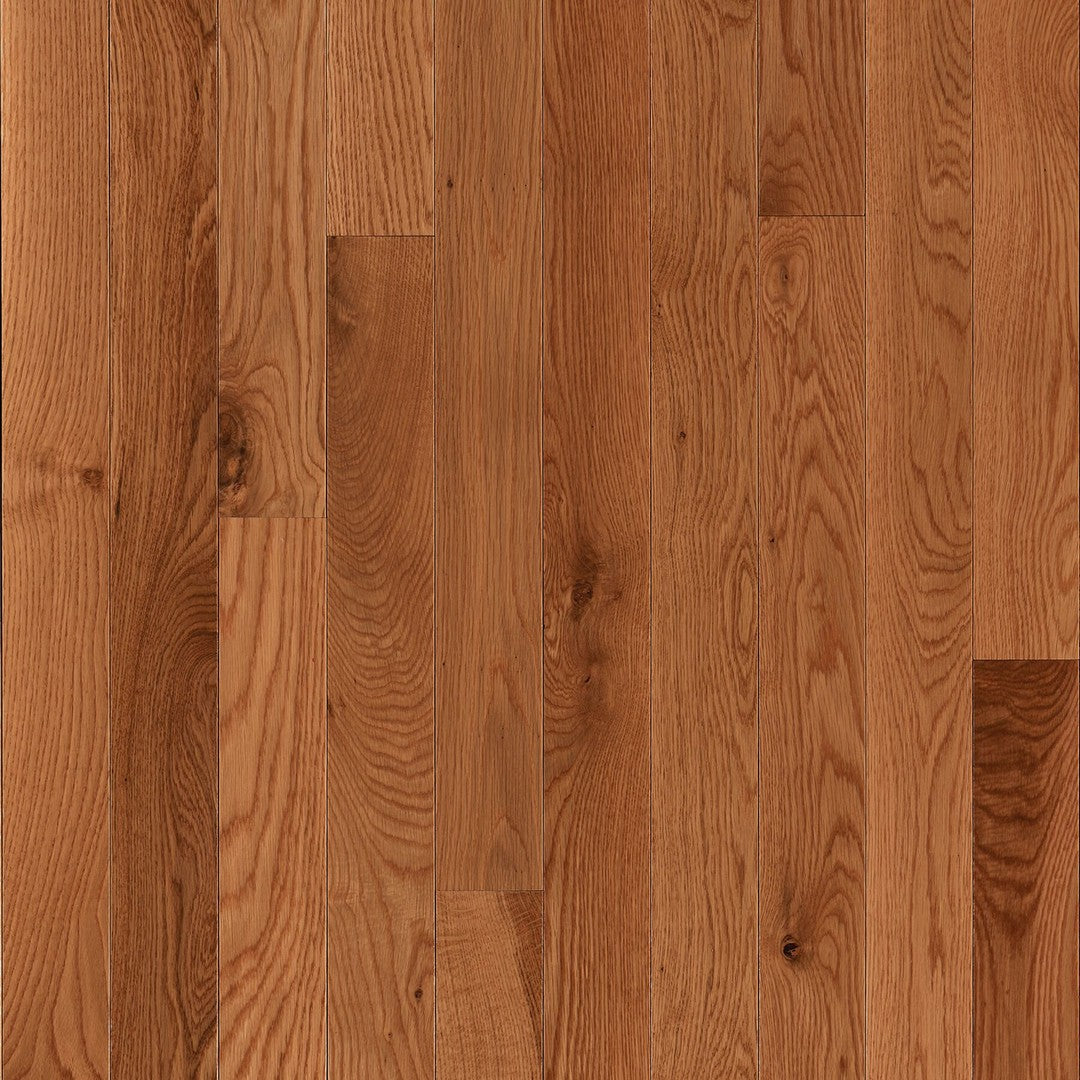 Crossville Grandin Grove 2.25" Medium Gloss Solid Hardwood Strip