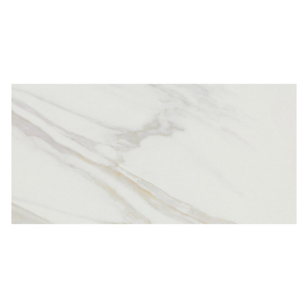 Marazzi Collins 12" x 24" Matte Porcelain Tile