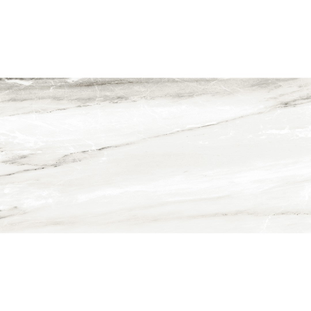 Tesoro Turin 12" x 24" Pressed Matte Porcelain Tile