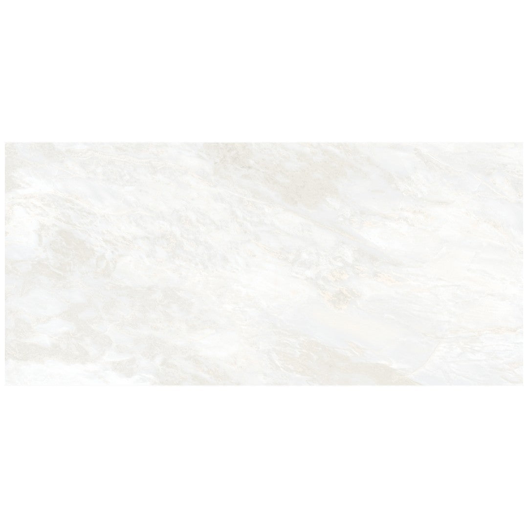 Bedrosians Magnifica ERA 24" x 48" Honed Porcelain Tile