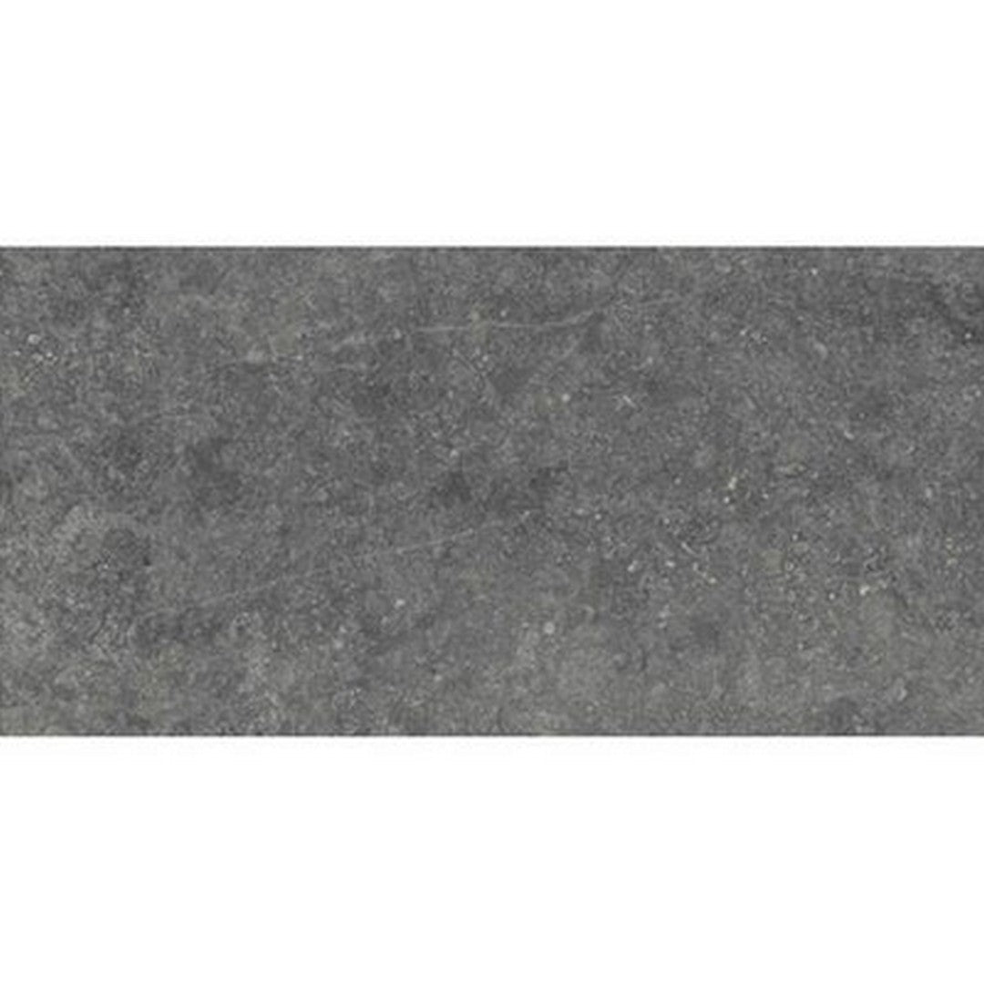 Daltile Diplomacy 24" x 48" Rectified Matte Porcelain Floor Tile