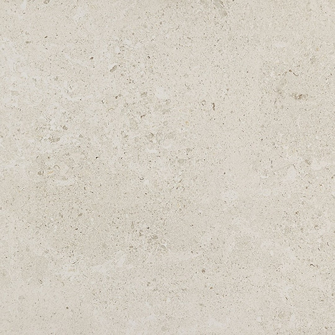 Daltile Dignitary 24