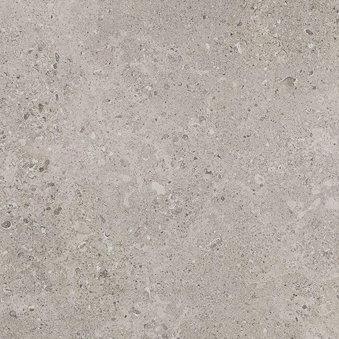 Daltile Dignitary 24" x 24" Rectified Matte Porcelain Floor Tile