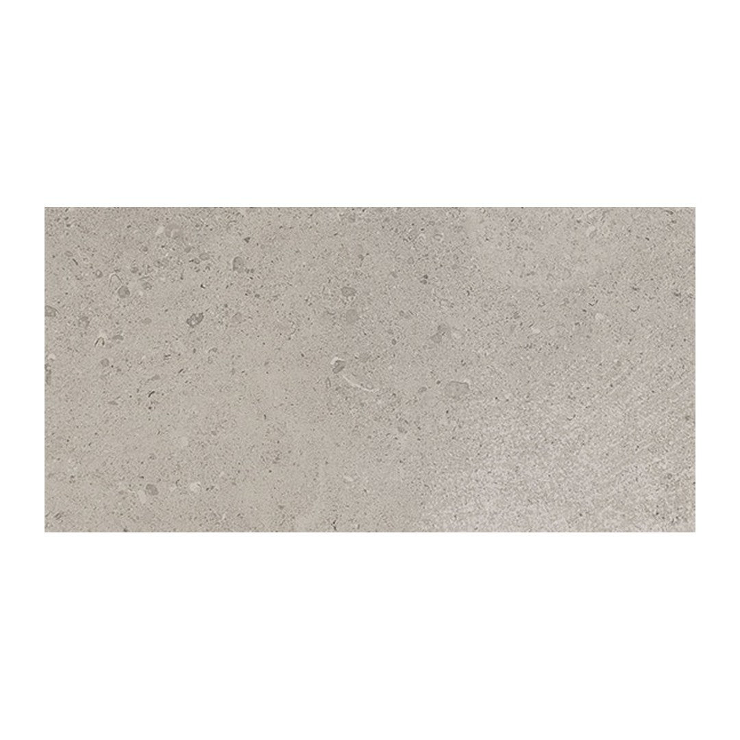 Daltile Dignitary 12" x 24" Rectified Matte Porcelain Floor Tile