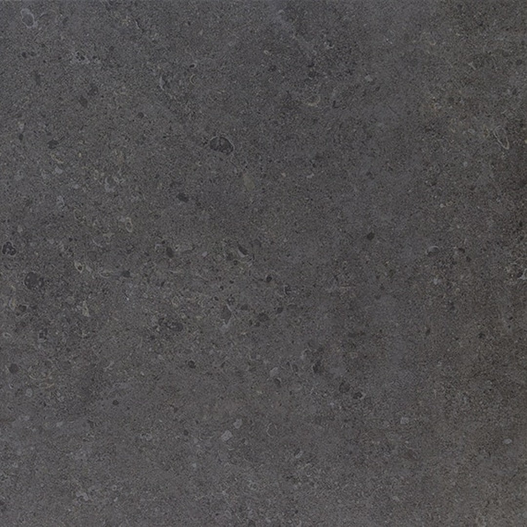 Daltile Dignitary 24" x 24" Rectified Matte Porcelain Floor Tile