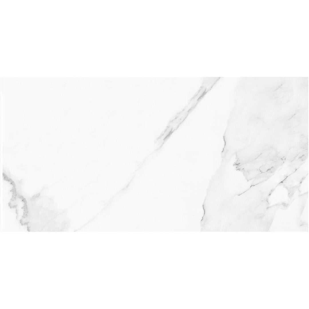 Tesoro Vintage 24" x 48" Rectified Matte Porcelain Tile