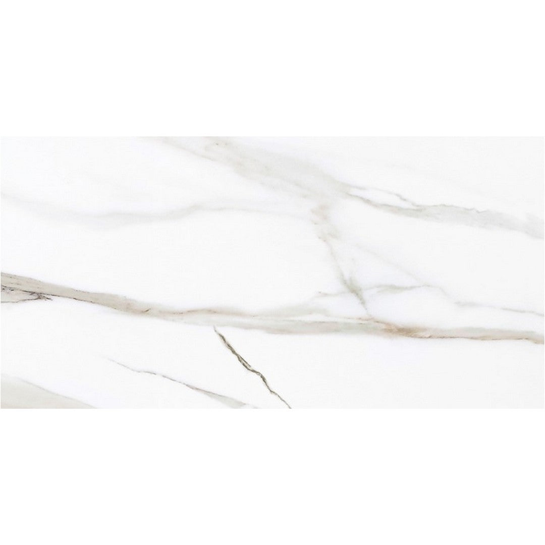 Tesoro Vintage 12" x 24" Rectified Matte Porcelain Tile