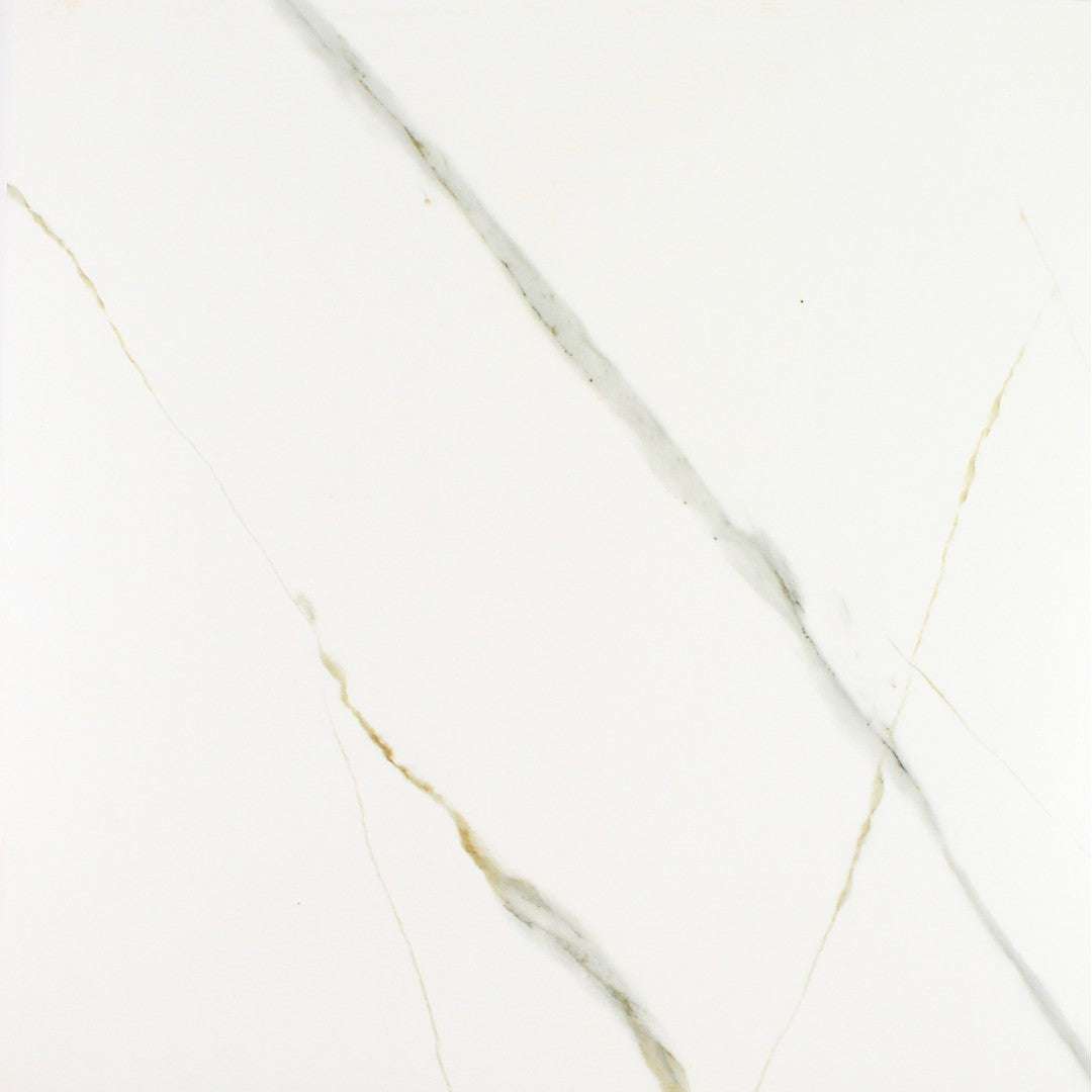 Tesoro Cami 20" x 20" Rectified Matte Porcelain Tile