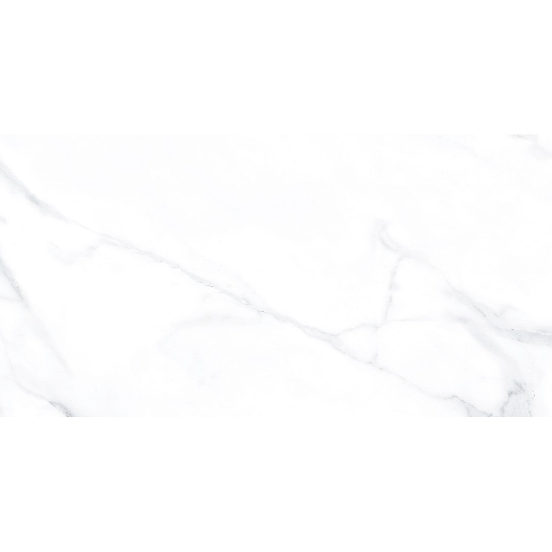 Tesoro Lucca 12" x 24" Rectified Polished Porcelain Tile