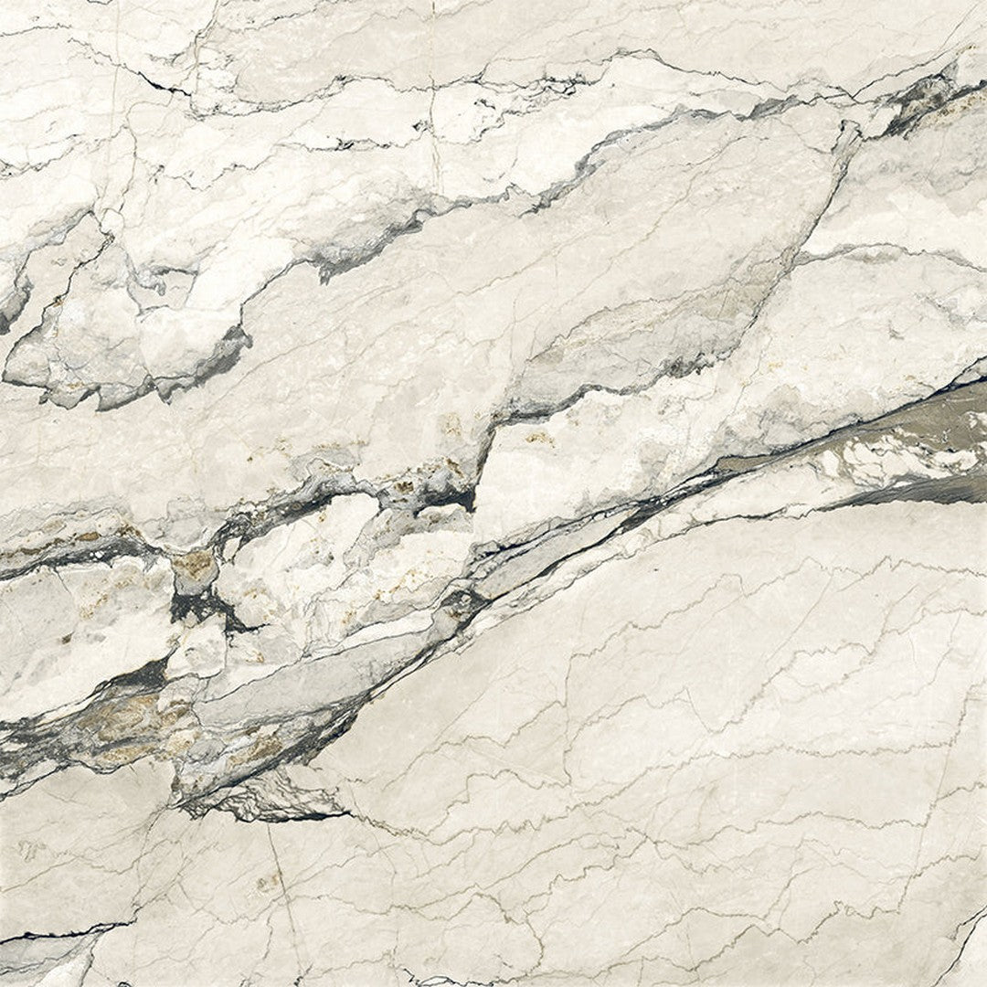 Happy Floors Breccia Lunare 48" x 48" Rectified Matte Porcelain Tile