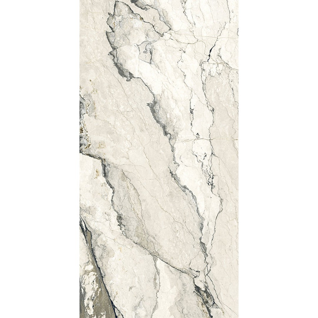 Happy Floors Breccia Lunare 24" x 48" Rectified Matte Porcelain Tile