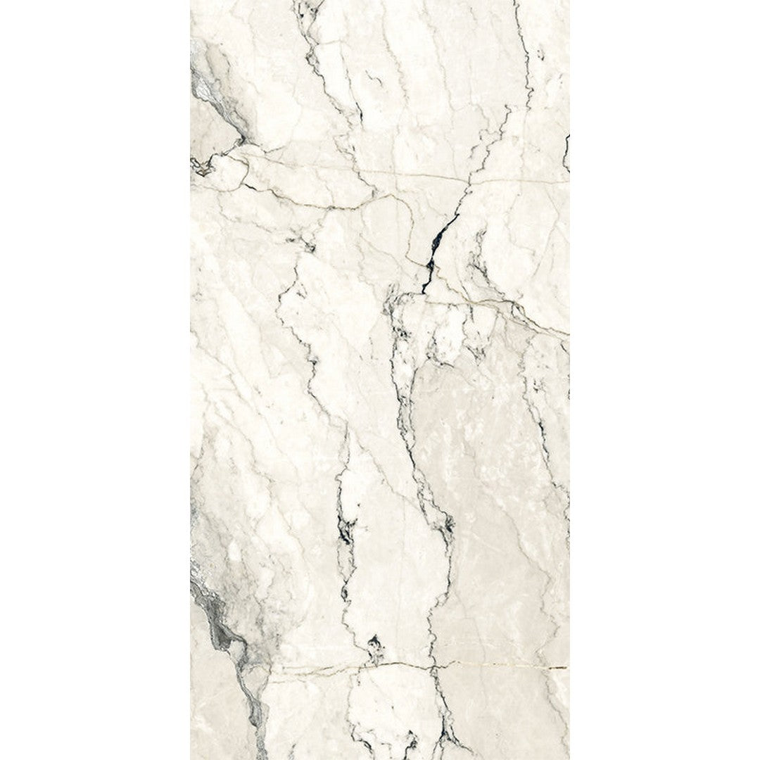 Happy Floors Breccia Lunare 12" x 24" Rectified Matte Porcelain Tile
