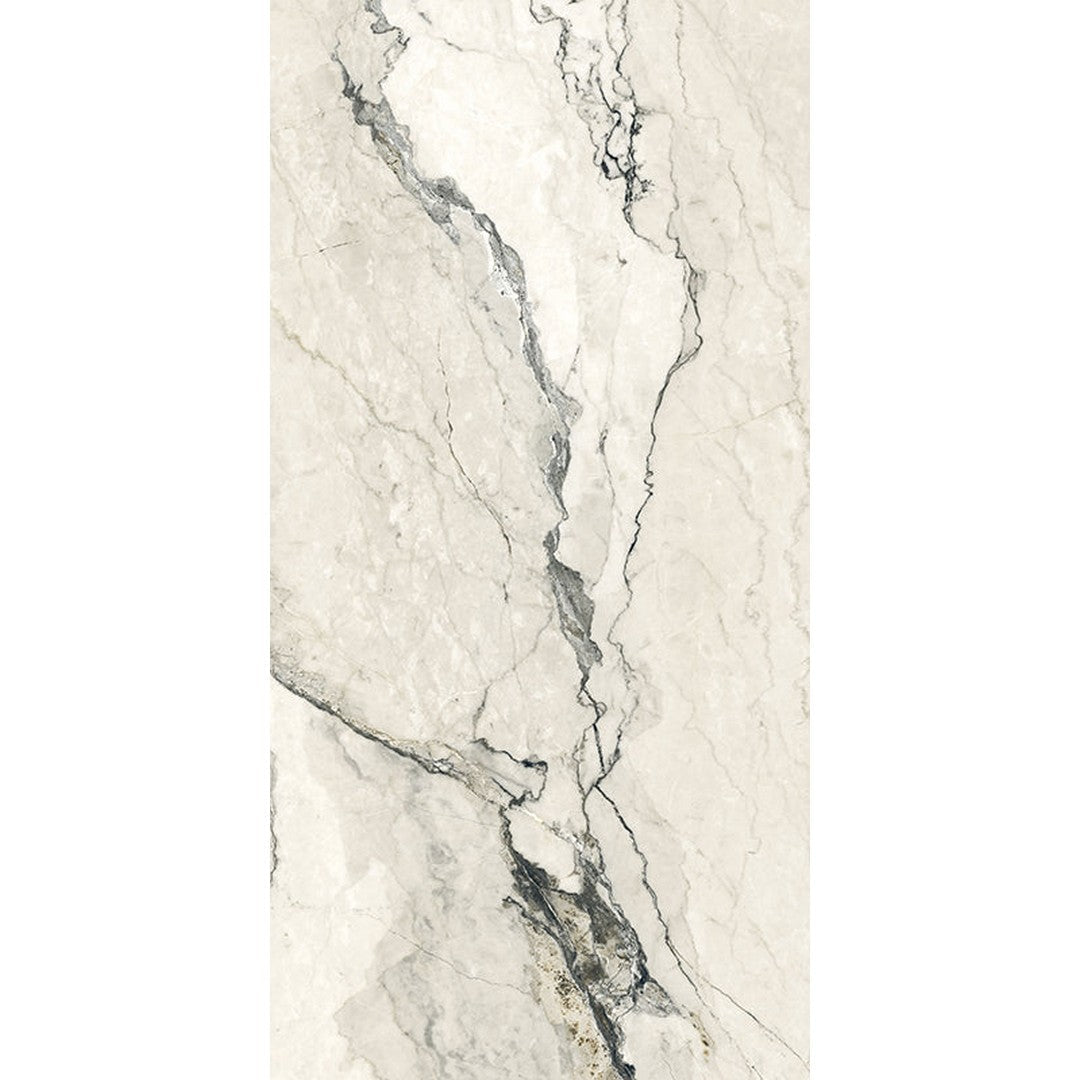 Happy Floors Breccia Lunare 12" x 24" Rectified Polished Porcelain Tile