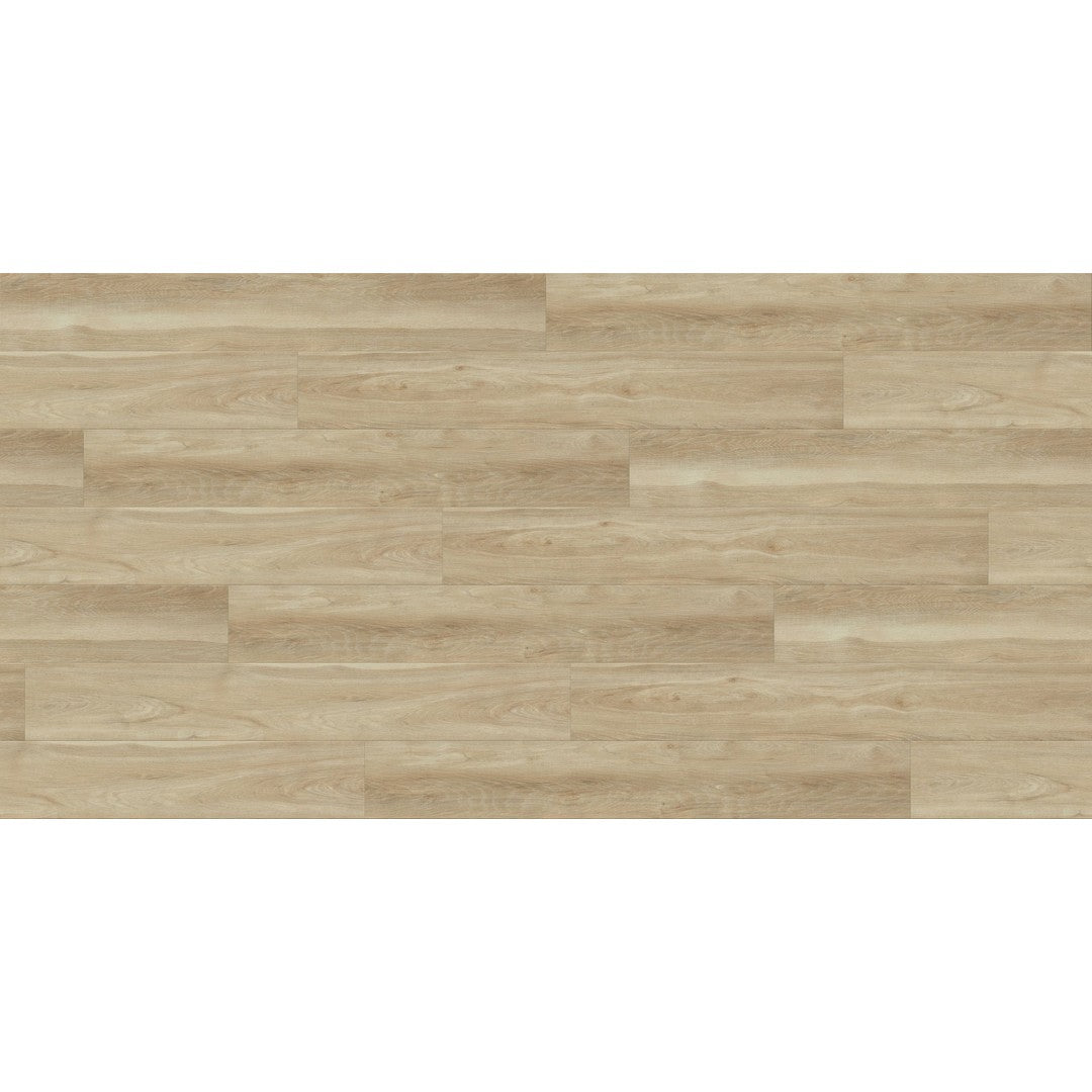 Market Place XL Rigid ABA 9
