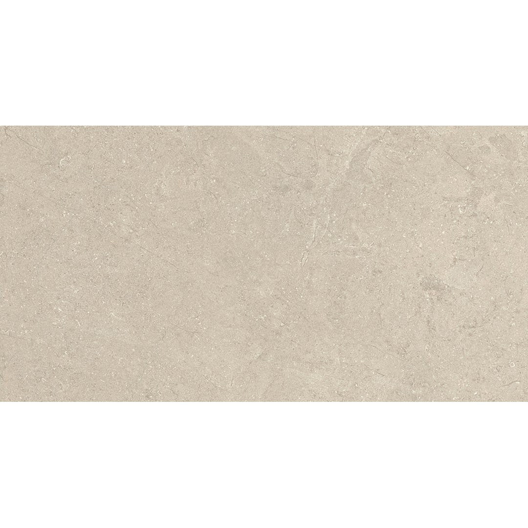 Euroker Next 24" x 48" Rectified Matte Porcelain Tile