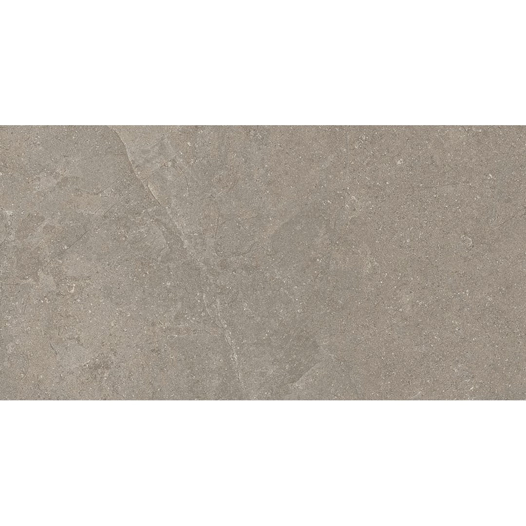 Euroker Next 24" x 48" Rectified Matte Porcelain Tile