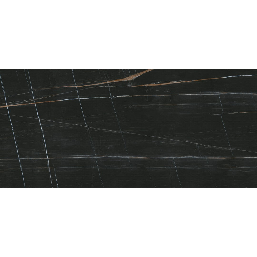 Euroker Titanium 24" x 48" Polished Porcelain Tile