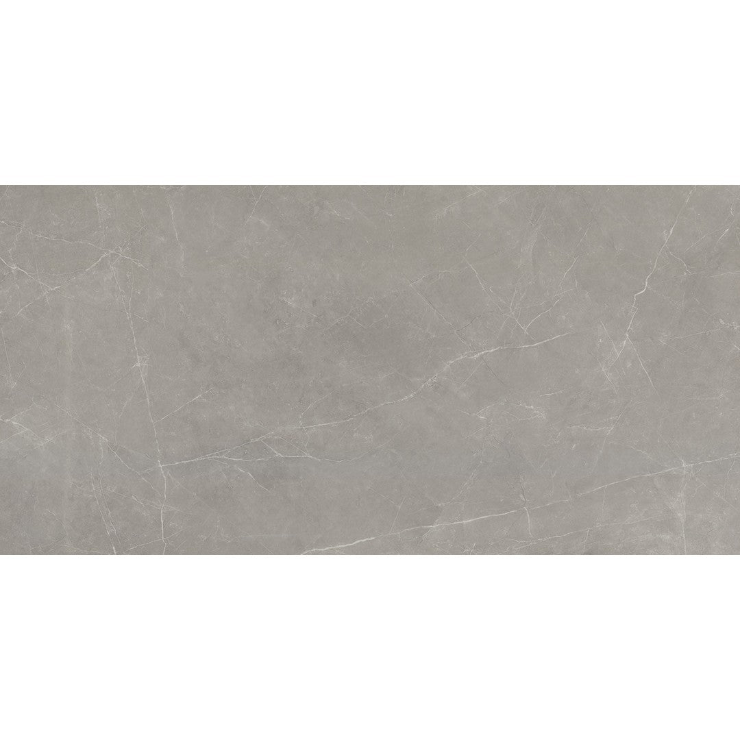 Emser Sterlina II - 24" x 47" Rectified Matte Porcelain Tile