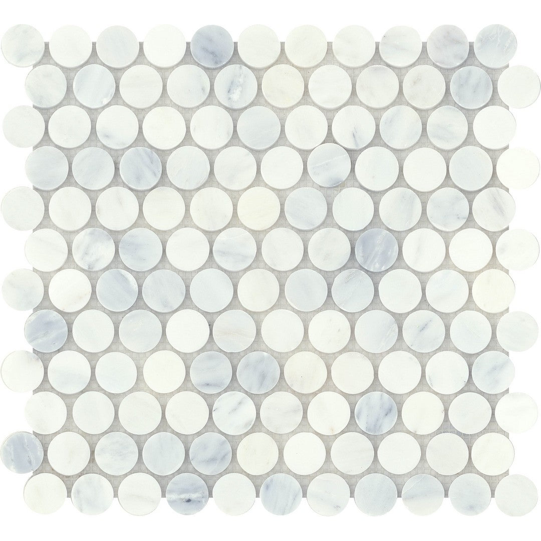 Emser Marble Winter Frost 12" x 12" Polished Marble Penny Round Mosaic