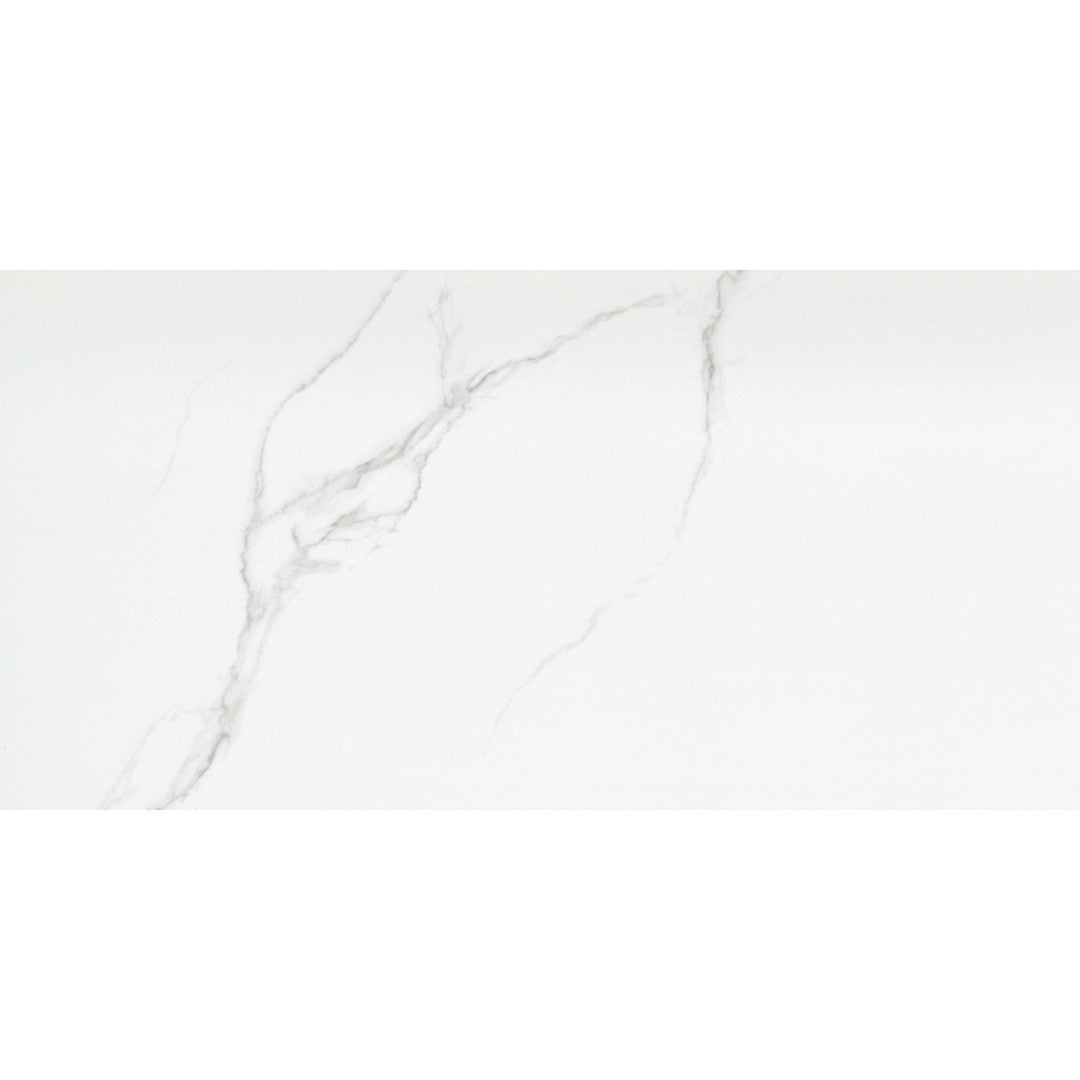 Emser Duchessa 12" x 24" Rectified Matte Porcelain Tile