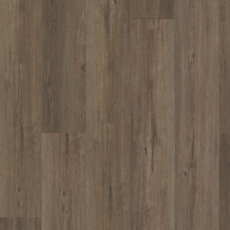 Bella Largo 9" x 60" SPC Luxury Vinyl Plank 20mil