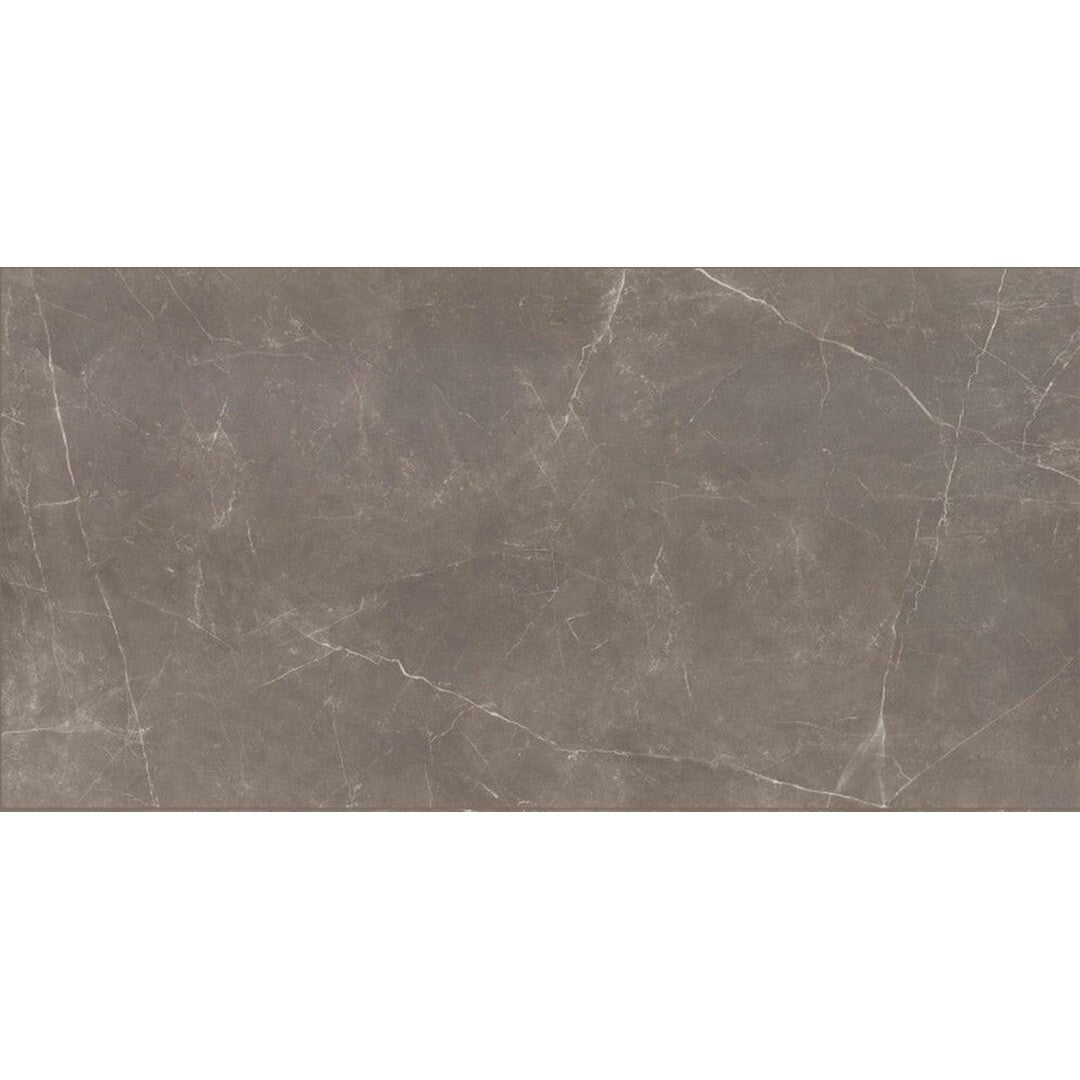 Emser Sterlina II - 24" x 47" Rectified Matte Porcelain Tile