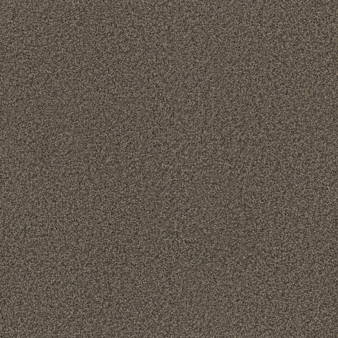 Phenix Floor Ever 12' Attain Carpet Tile