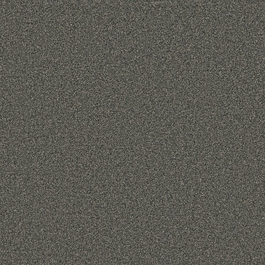 Phenix Floor Ever 12' Attain Carpet Tile