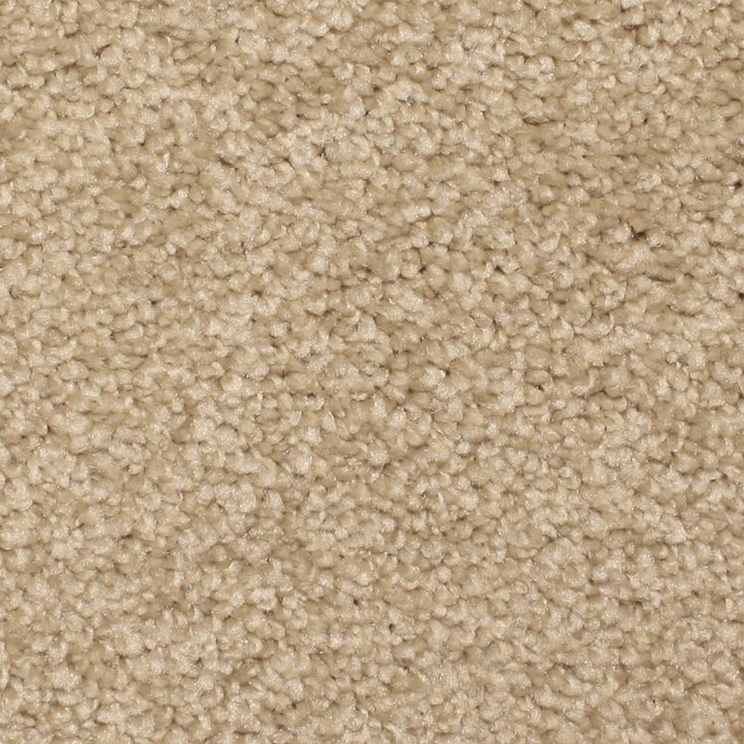 Phenix Floor Ever 12' Ebullient Carpet Tile