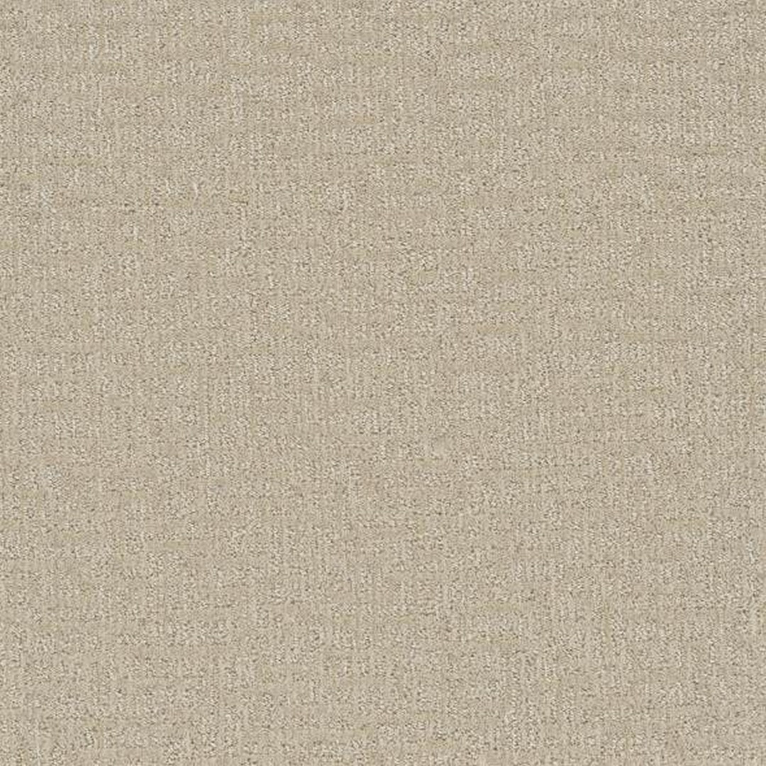 Phenix Floor Ever 12' Sonder Carpet Tile