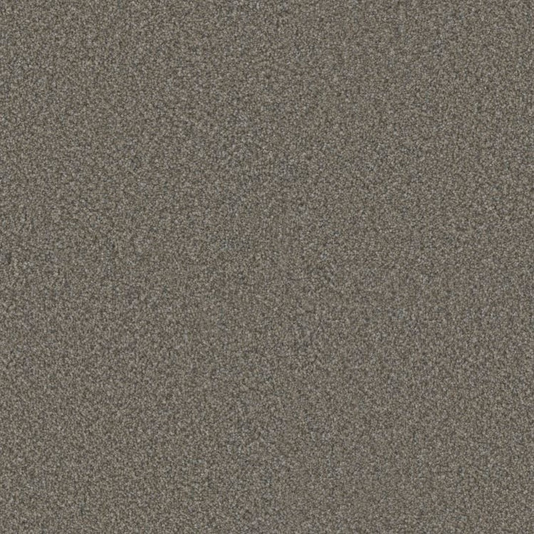 Phenix Floor Ever Eccentric 12' Carpet Tile