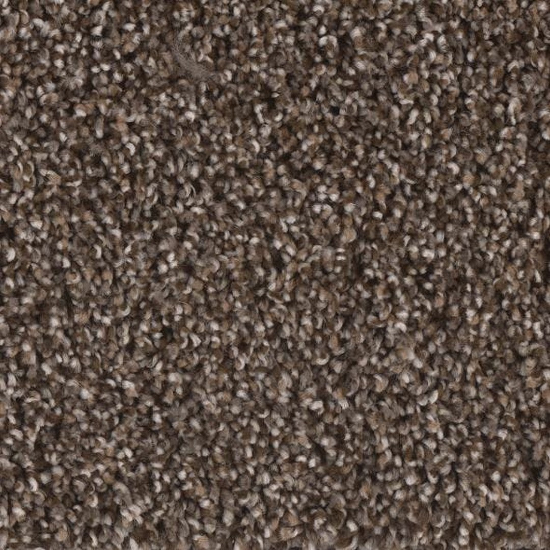 Phenix Floor Ever Eccentric 12' Carpet Tile