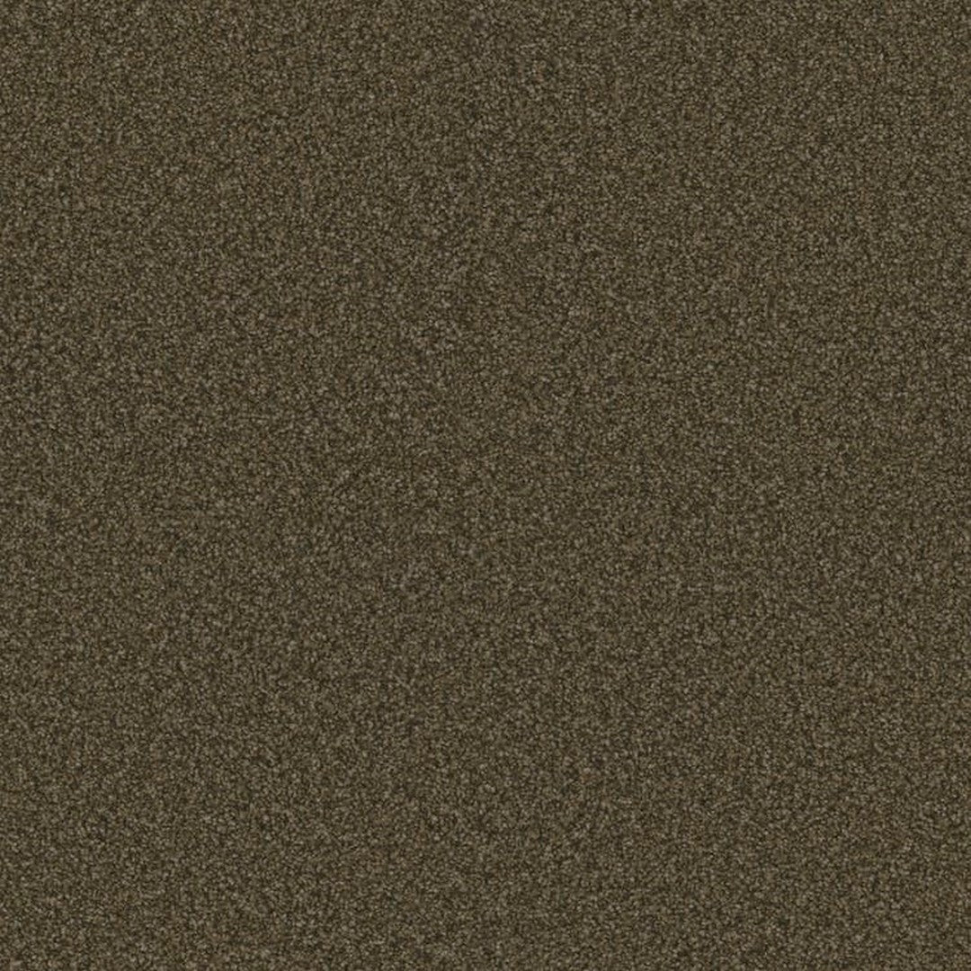 Phenix Floor Ever Eccentric 12' Carpet Tile