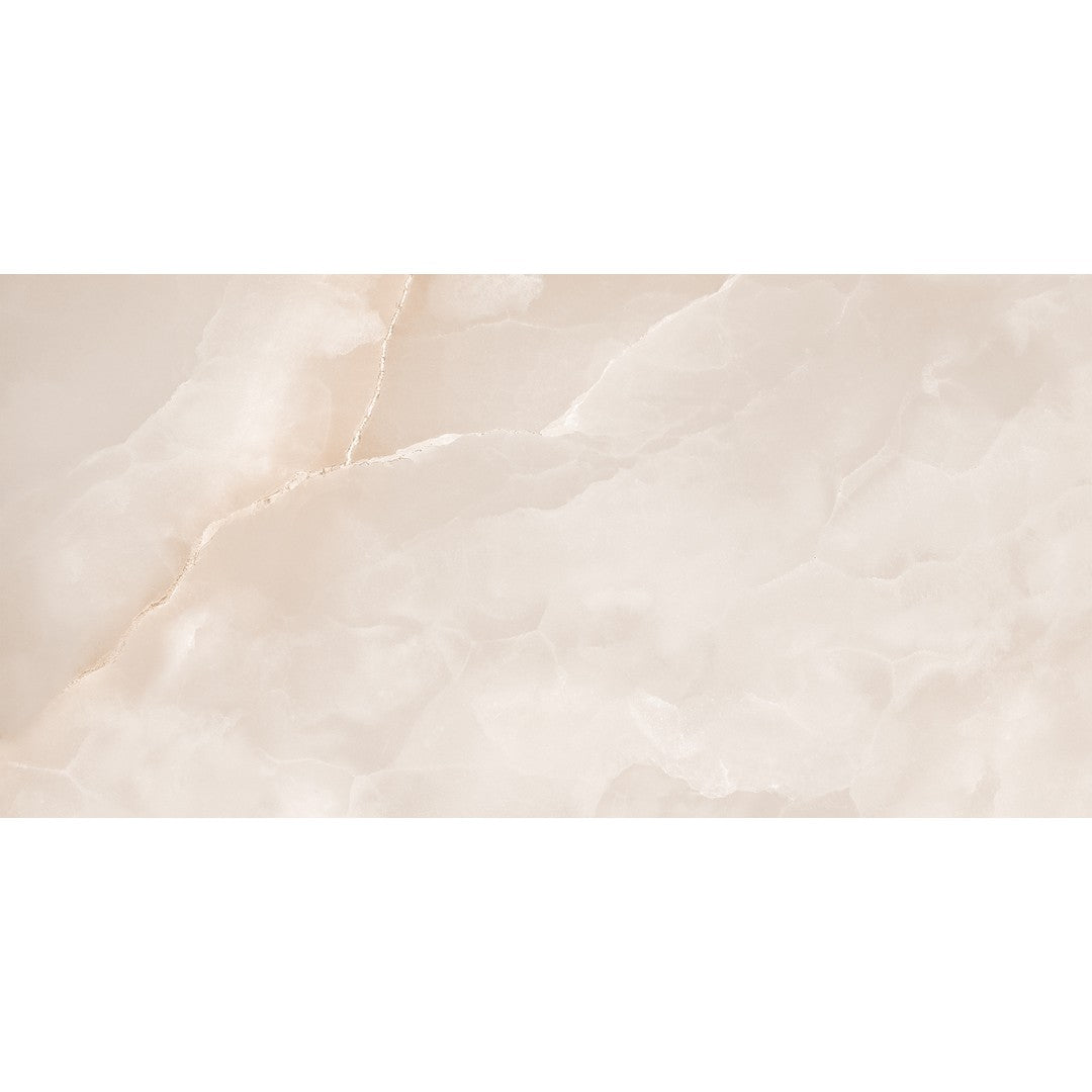 Tesoro Madras 24" x 48" Rectified Polished Porcelain Tile