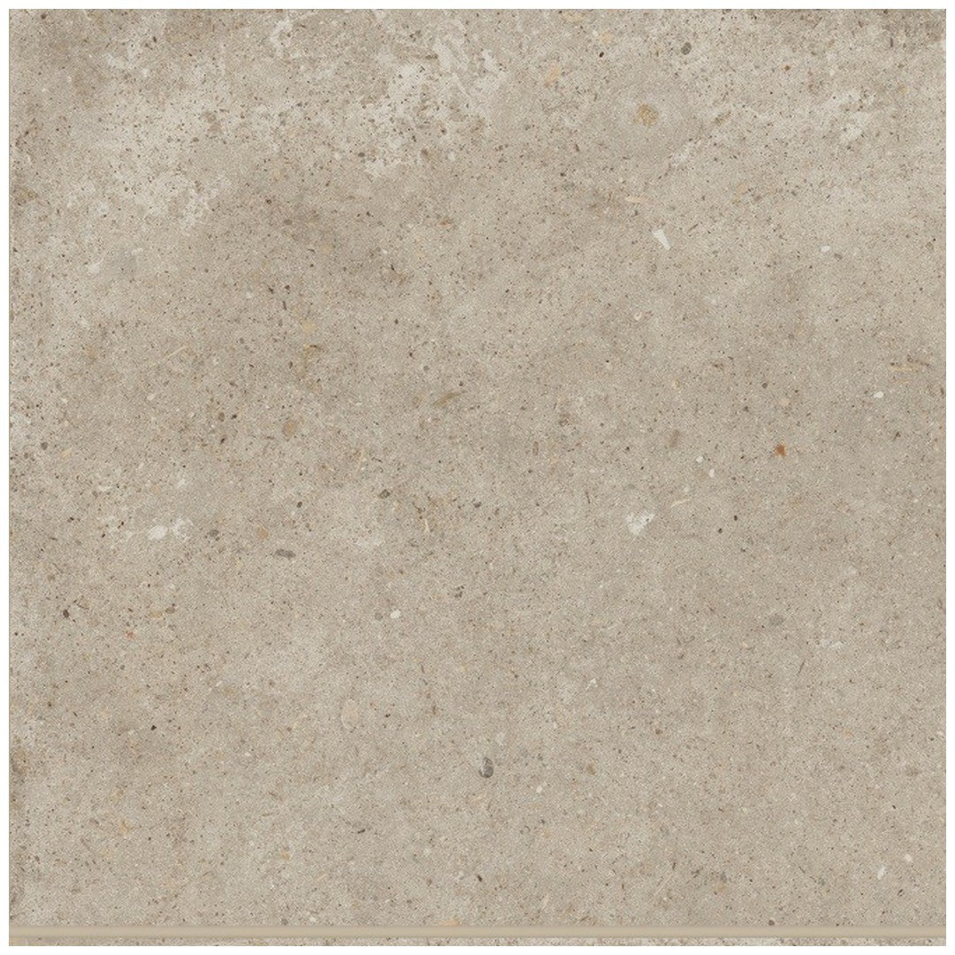 Bedrosians Poetry Stone 12" x 12" Matte Porcelain Field Tile