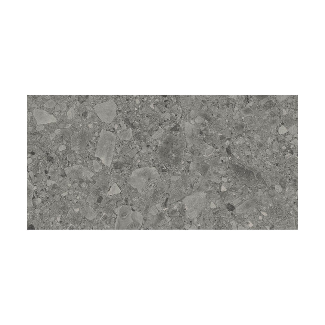 Ottimo Flodsten 24" x 48" Rectified Matte Porcelain Tile