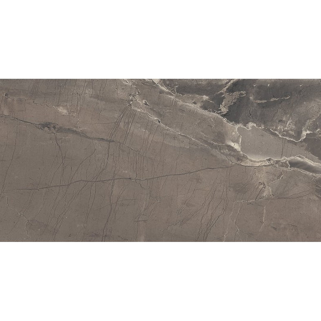 Milestone-Absolute-12-x-24-Matte-Porcelain-Tile-Brown