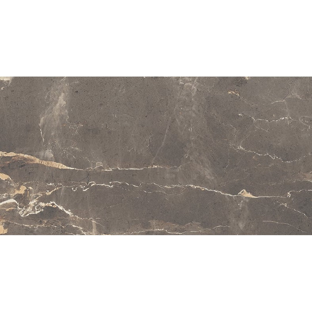 Milestone-Absolute-12-x-24-Matte-Porcelain-Tile-Brown
