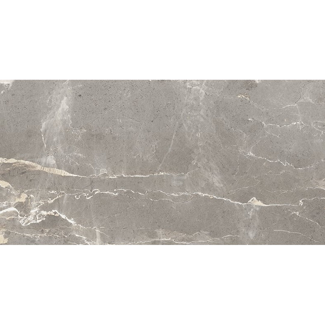 Milestone-Absolute-12-x-24-Matte-Porcelain-Tile-Dark-Grey