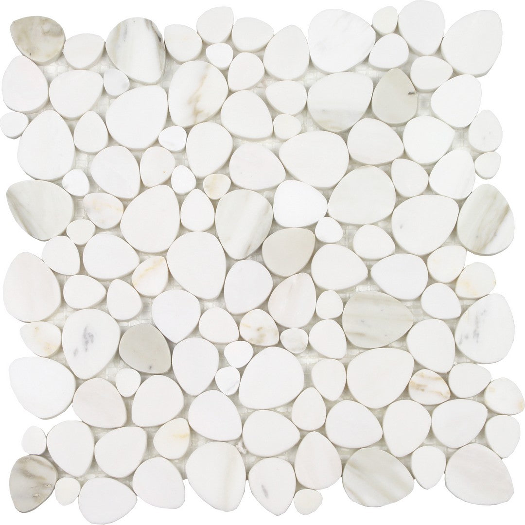 Tesoro Ocean Stones 11.75" x 12" Polished Natural Stone Sliced Mosaic