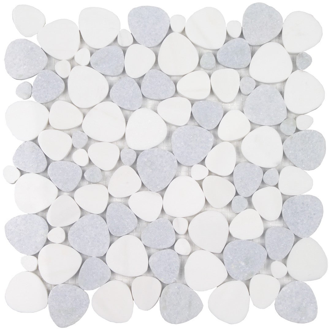 Tesoro Ocean Stones 11.75" x 12" Polished Natural Stone Sliced Mosaic